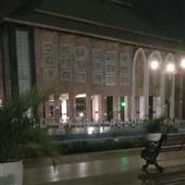 Mạ