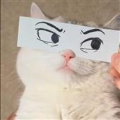 Th