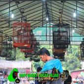 Sự