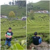 Đấ