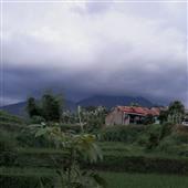 Tr