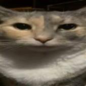 Lo