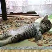 LẠ