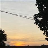 Tỷ