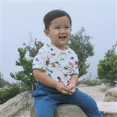 Gấ
