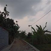 Sự