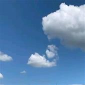 Ng