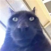 To