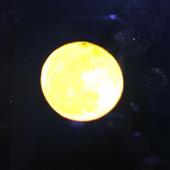 FI