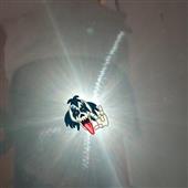 Tr