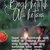 Vậ