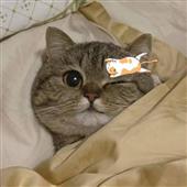 Lư