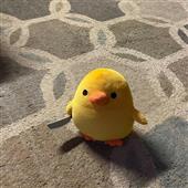 Ba