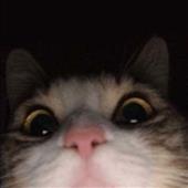 Ng