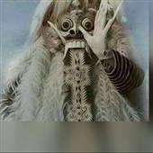 Gi