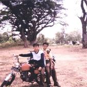 Dự