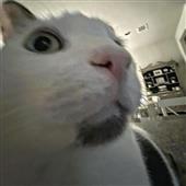 So