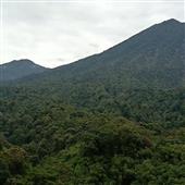 Lị