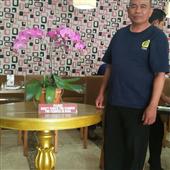 Sứ