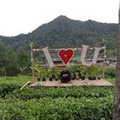 Tố