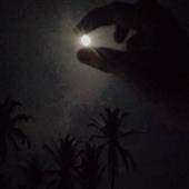 Tỷ