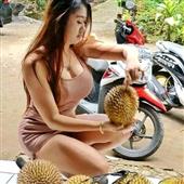 Gấ