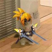 Ch