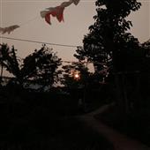 Hộ