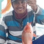 Nữ
