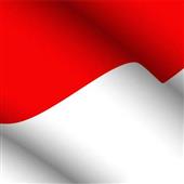 Pu