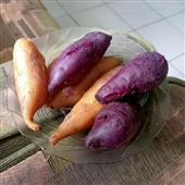 Hợ