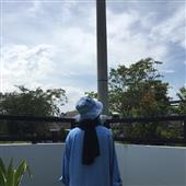 Vị