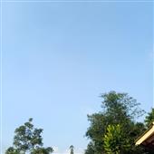 Sự