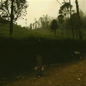 Vo