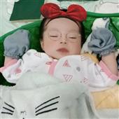 CỪ