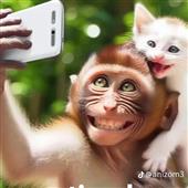 Đả