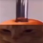 Tổ