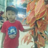 Tỷ