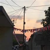 Bu