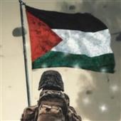 gi