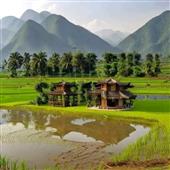 Bầ