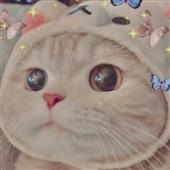 Sứ