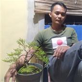 Hà
