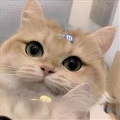 Hầ
