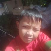 Dự