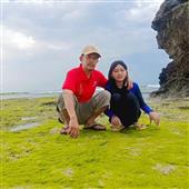 Gậ