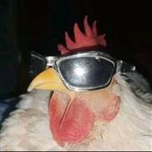 Tư
