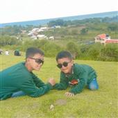 Gà