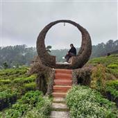 Sự