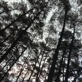 Ca